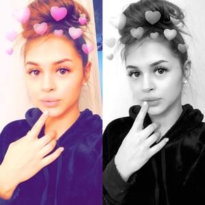 Meet your Posher, Tiger